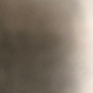 Meet your Posher, Shea